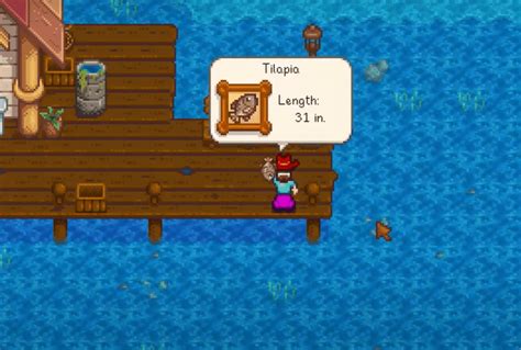 tilapia stardew valley